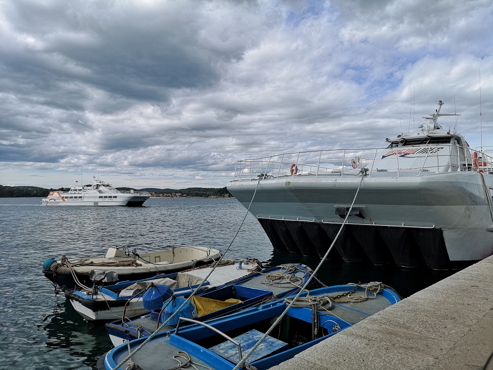 San Frangisk Catamaran